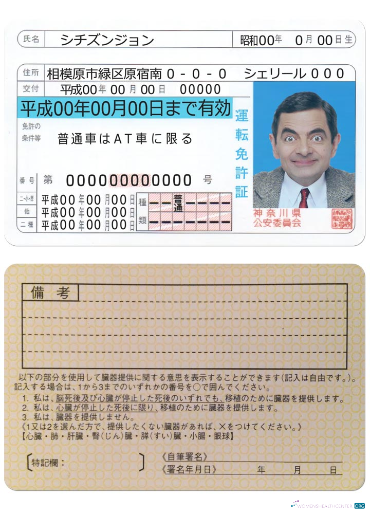 download Japan driving license version 2